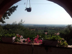 The mountain gardens